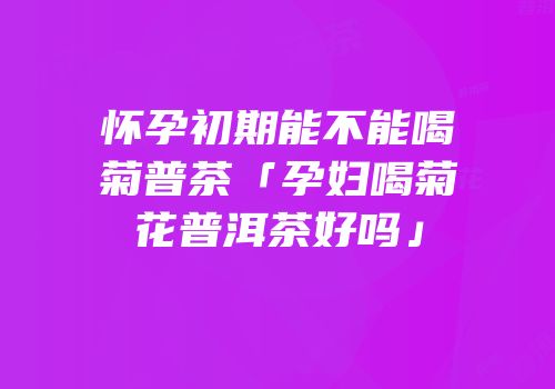 怀孕初期能不能喝菊普茶「孕妇喝菊花普洱茶好吗」