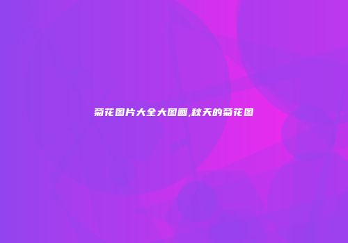菊花图片大全大图画,秋天的菊花图