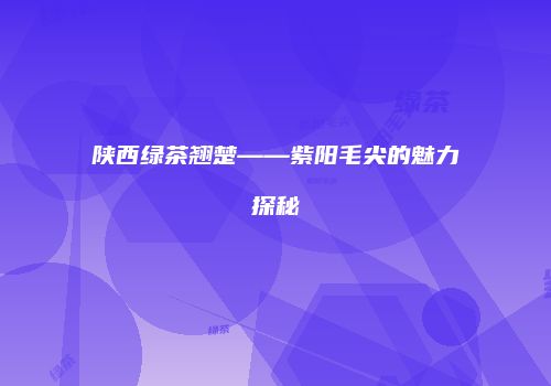 陕西绿茶翘楚——紫阳毛尖的魅力探秘