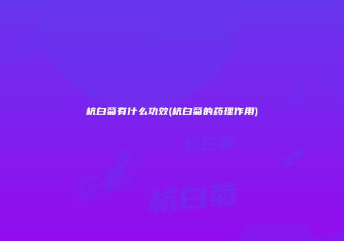 杭白菊有什么功效(杭白菊的药理作用)