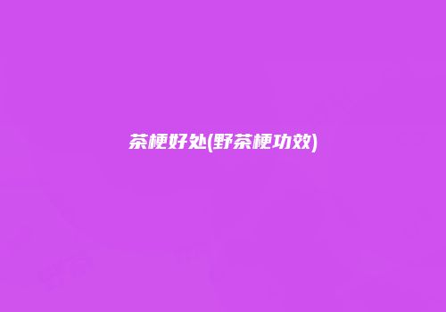 茶梗好处(野茶梗功效)