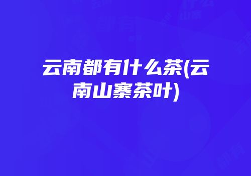 云南都有什么茶(云南山寨茶叶)