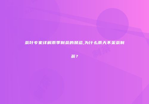 茶叶专家详解雨季制茶的禁忌,为什么雨天不采茶制茶？