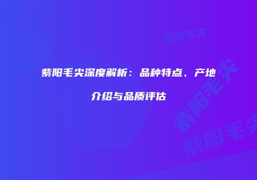 紫阳毛尖深度解析：品种特点、产地介绍与品质评估