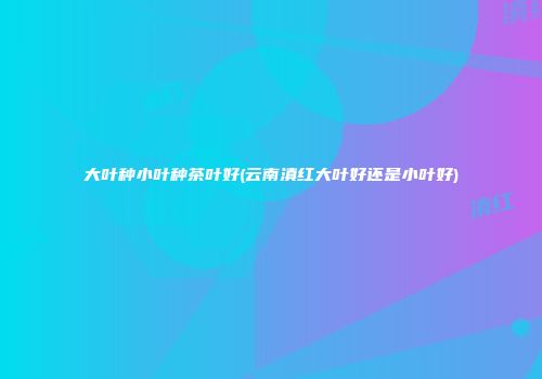大叶种小叶种茶叶好(云南滇红大叶好还是小叶好)