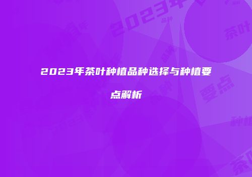 2023年茶叶种植品种选择与种植要点解析