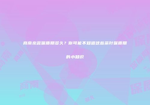 商南泉茗保质期多久？你可能不知道这些茶叶保质期的小知识