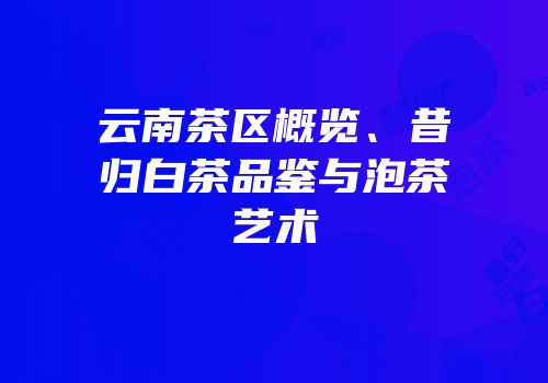 云南茶区概览、昔归白茶品鉴与泡茶艺术