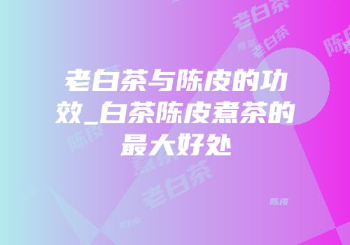 老白茶与陈皮的功效_白茶陈皮煮茶的最大好处