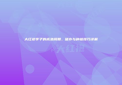 大红袍李子的成熟周期、储存与种植技巧详解