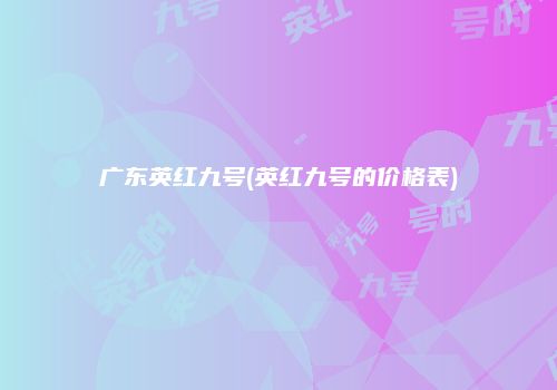 广东英红九号(英红九号的价格表)