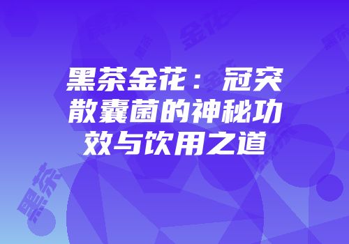 黑茶金花：冠突散囊菌的神秘功效与饮用之道