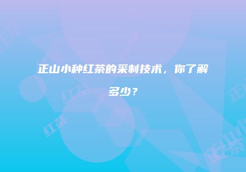 正山小种红茶的采制技术，你了解多少？