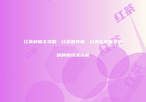 红茶种植全攻略：红茶菌养殖、红茶花培育及茶树种植技术详解