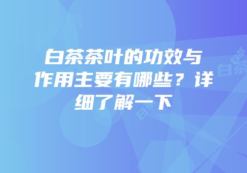 白茶茶叶的功效与作用主要有哪些？详细了解一下