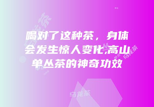 喝对了这种茶，身体会发生惊人变化,高山单丛茶的神奇功效