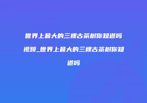 世界上最大的三棵古茶树你知道吗视频_世界上最大的三棵古茶树你知道吗