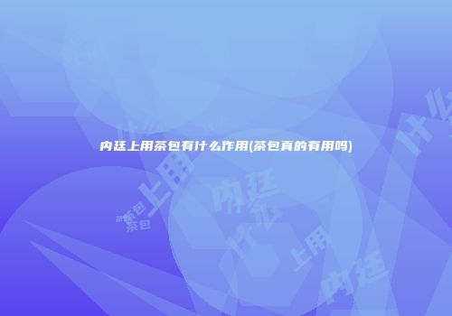 内廷上用茶包有什么作用(茶包真的有用吗)