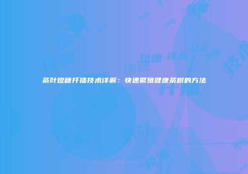 茶叶短穗扦插技术详解：快速繁殖健康茶树的方法