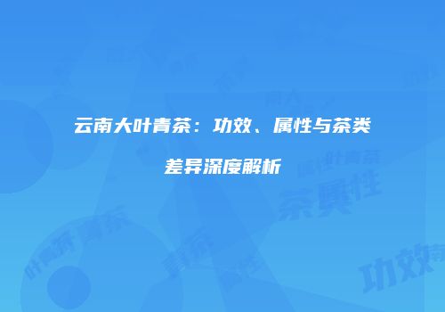云南大叶青茶：功效、属性与茶类差异深度解析