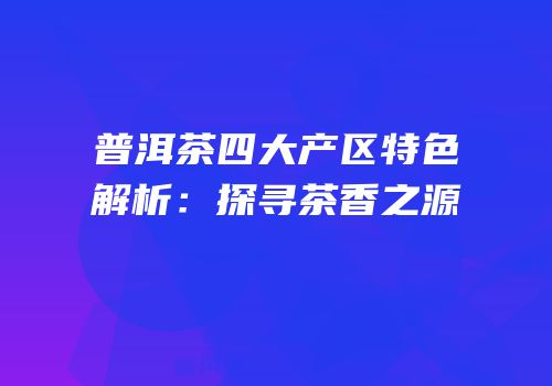 普洱茶四大产区特色解析：探寻茶香之源
