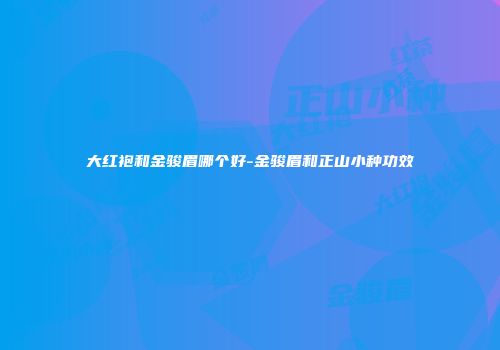 大红袍和金骏眉哪个好-金骏眉和正山小种功效