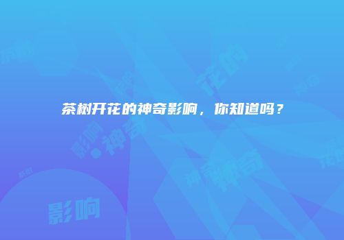 茶树开花的神奇影响，你知道吗？