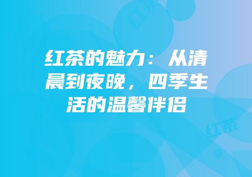 红茶的魅力：从清晨到夜晚，四季生活的温馨伴侣