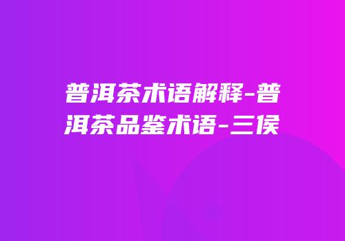 普洱茶术语解释-普洱茶品鉴术语-三侯