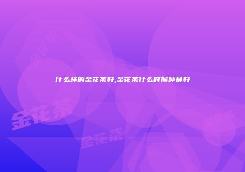 什么样的金花茶好,金花茶什么时候种最好