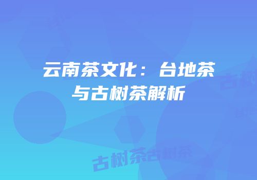 云南茶文化：台地茶与古树茶解析