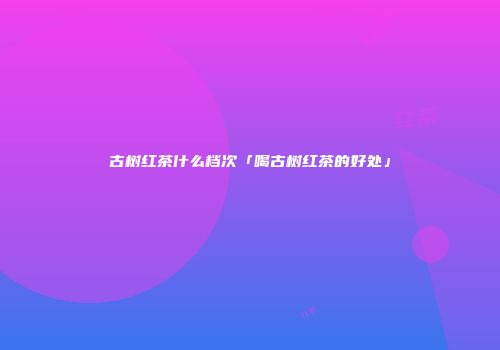 古树红茶什么档次「喝古树红茶的好处」