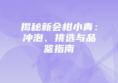 揭秘新会柑小青：冲泡、挑选与品鉴指南