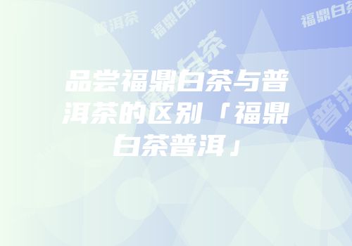 品尝福鼎白茶与普洱茶的区别「福鼎白茶普洱」
