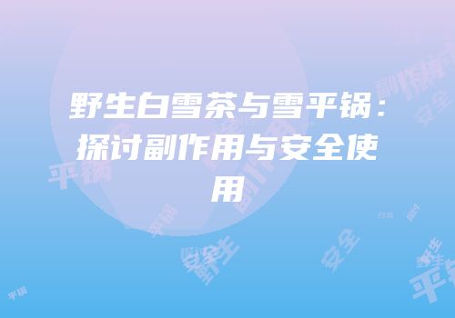 野生白雪茶与雪平锅：探讨副作用与安全使用