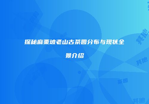 探秘麻栗坡老山古茶园分布与现状全景介绍