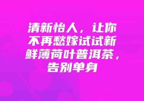清新怡人，让你不再愁嫁试试新鲜薄荷叶普洱茶，告别单身