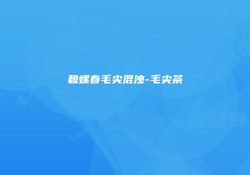 碧螺春毛尖混浊-毛尖茶