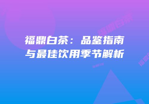 福鼎白茶：品鉴指南与最佳饮用季节解析