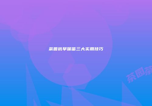 茶园抗旱保苗三大实用技巧
