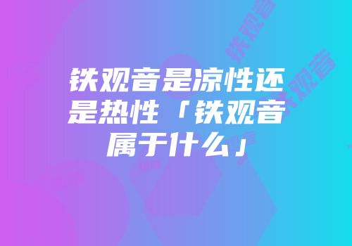 铁观音是凉性还是热性「铁观音属于什么」