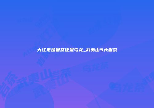 大红袍是岩茶还是乌龙_武夷山5大岩茶