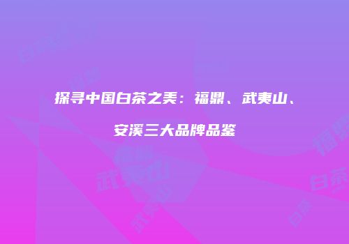 探寻中国白茶之美：福鼎、武夷山、安溪三大品牌品鉴