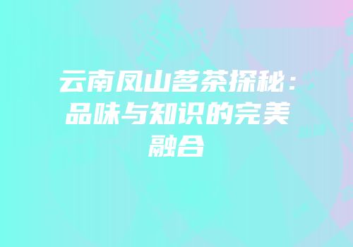 云南凤山茗茶探秘：品味与知识的完美融合