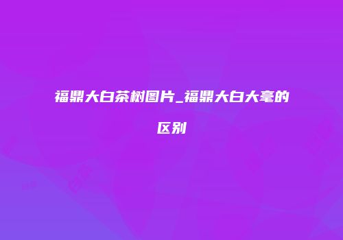 福鼎大白茶树图片_福鼎大白大毫的区别