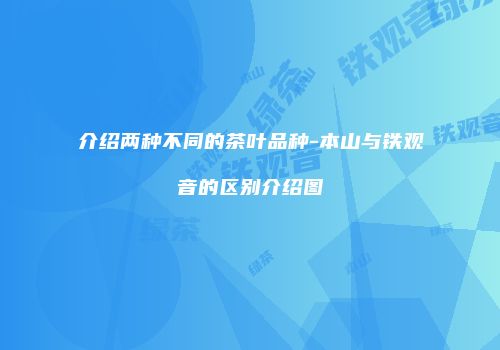 介绍两种不同的茶叶品种-本山与铁观音的区别介绍图