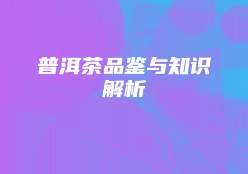 普洱茶品鉴与知识解析