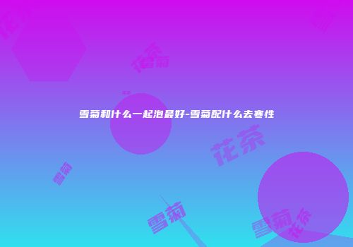 雪菊和什么一起泡最好-雪菊配什么去寒性