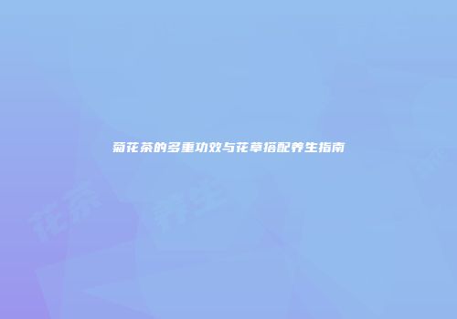菊花茶的多重功效与花草搭配养生指南
