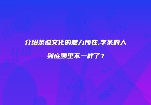 介绍茶道文化的魅力所在,学茶的人到底哪里不一样了？